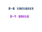 7.1.1植物的生殖课件2023--2024学年人教版生物八年级下册