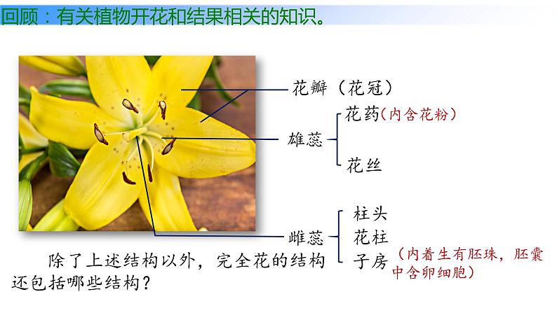 7.1.1植物的生殖课件2023--2024学年人教版生物八年级下册第2页