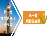 7.1.1植物的生殖课件2023--2024学年人教版生物八年级下册 (1)