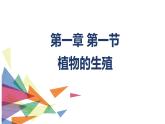 7.1.1植物的生殖课件2023--2024学年人教版八年级生物下册