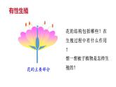 7.1.1+-植物的生殖课件2023--2024学年人教版生物八年级下册