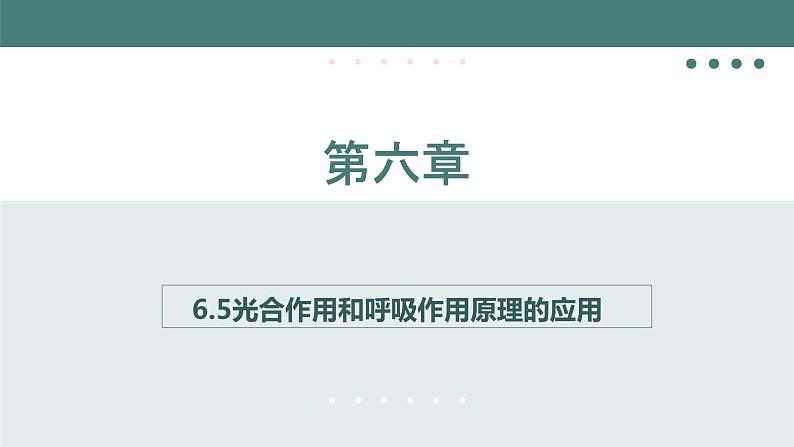 6.5光合作用和呼吸作用原理的应用同步课件2023--2024学年苏教版生物七年级上册01