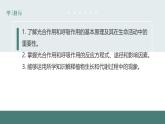 6.5光合作用和呼吸作用原理的应用同步课件2023--2024学年苏教版生物七年级上册