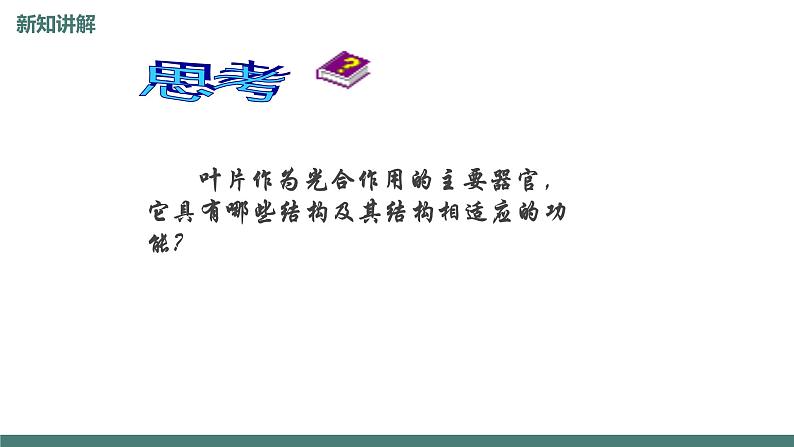 6.5光合作用和呼吸作用原理的应用同步课件2023--2024学年苏教版生物七年级上册06