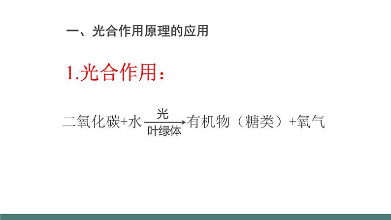 6.5光合作用和呼吸作用原理的应用同步课件2023--2024学年苏教版生物七年级上册07