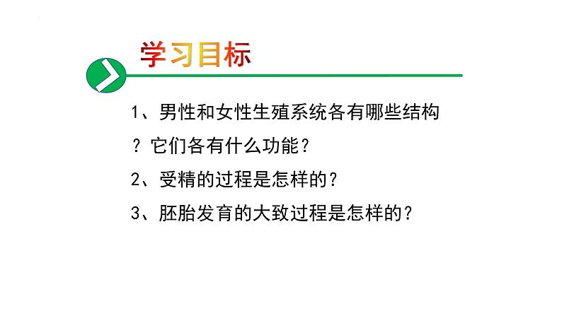 4.1.2人的生殖课件2023--2024学年人教版 七年级生物下册02