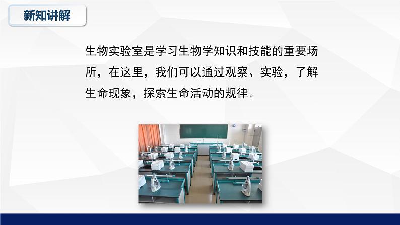 1.1走进生物实验室课件2023--2024学年冀少版生物七年级上册06