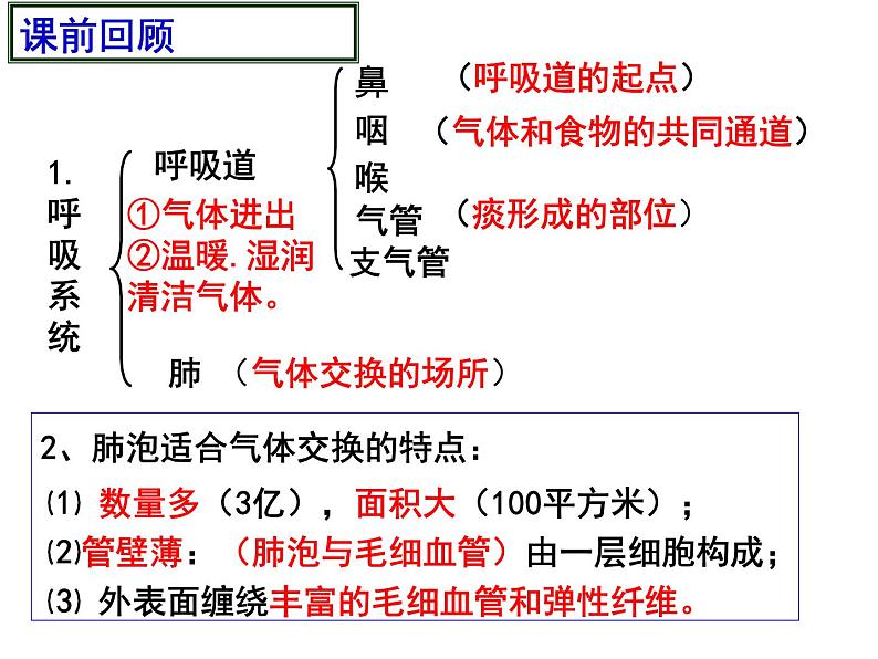 10.2.2呼吸运动课件2023--2024学年北师大版生物七年级下册第1页