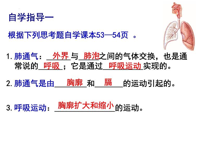 10.2.2呼吸运动课件2023--2024学年北师大版生物七年级下册第4页