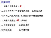 10.2.2呼吸运动课件2023--2024学年北师大版生物七年级下册