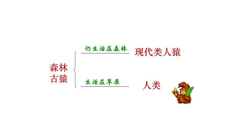 4.1.1人类的起源和发展课件2023--2024学年人教版生物七年级下册第4页