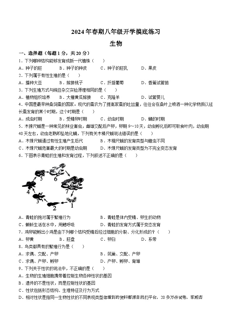 河南省南阳市南召县2023-2024学年八年级下学期开学生物试题()01