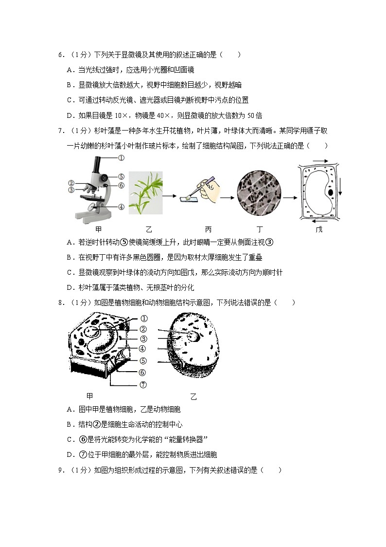 山东省青岛市李沧区2023-2024学年七年级上学期期末生物试卷02