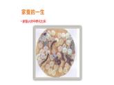 7.1.2++昆虫的生殖和发育++课件-2023-2024学年人教版生物八年级下册