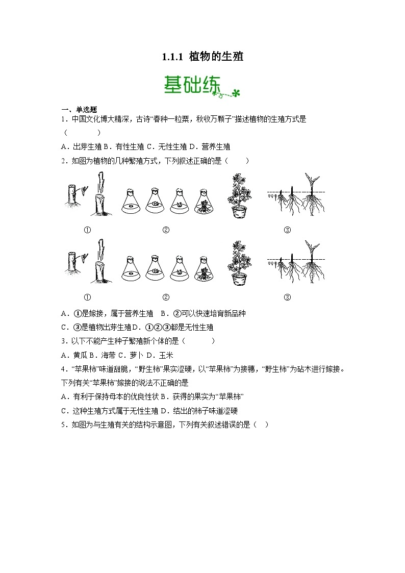 人教版八年级下册生物1.1.1 植物的生殖（分层练）（原卷版）01