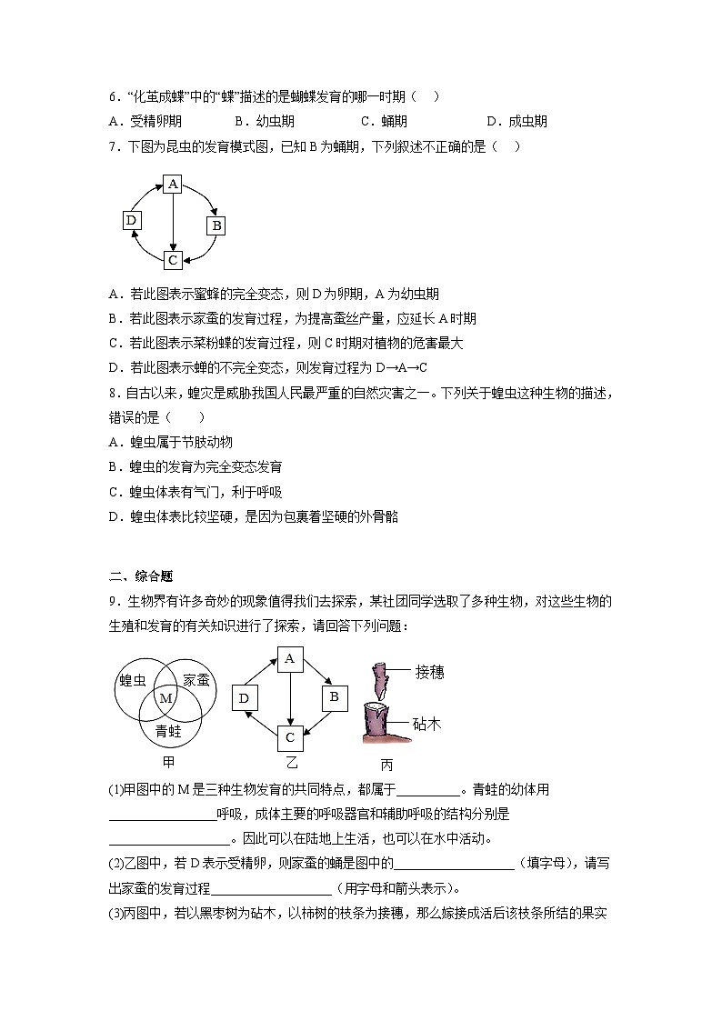 人教版八年级下册生物1.1.2 昆虫的生殖和发育（分层练）（原卷版）02