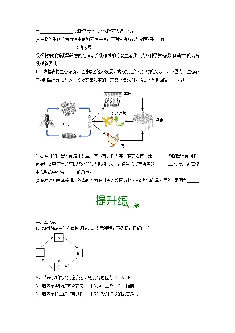 人教版八年级下册生物1.1.2 昆虫的生殖和发育（分层练）（原卷版）03