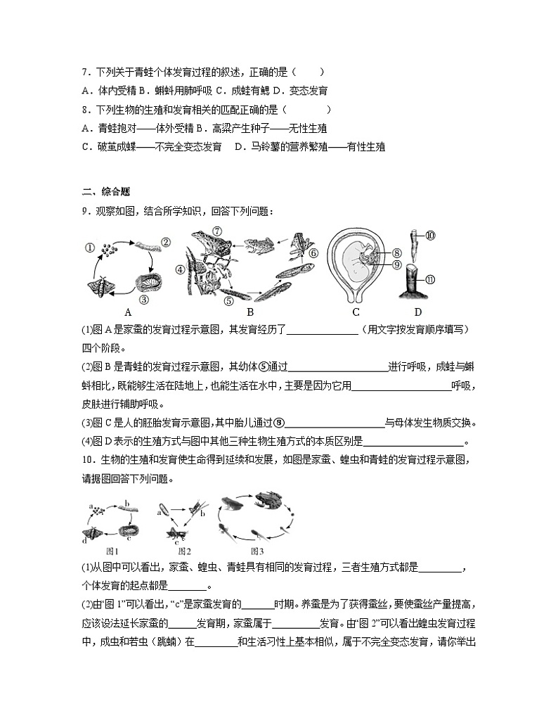 人教版八年级下册生物1.1.3 两栖动物的生殖和发育（分层练）（原卷版）02