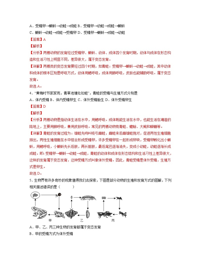 人教版八年级下册生物1.1.3 两栖动物的生殖和发育（分层练）（解析版）02