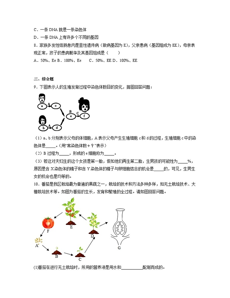 人教版八年级下册生物1.2.2 基因在亲子代间的传递（分层练）（原卷版）02