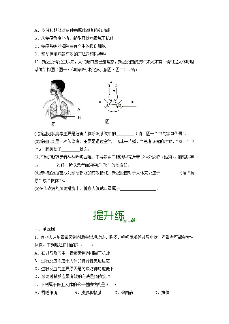 人教版八年级下册生物8.1.2 免疫与计划免疫（分层练）（原卷版）第3页