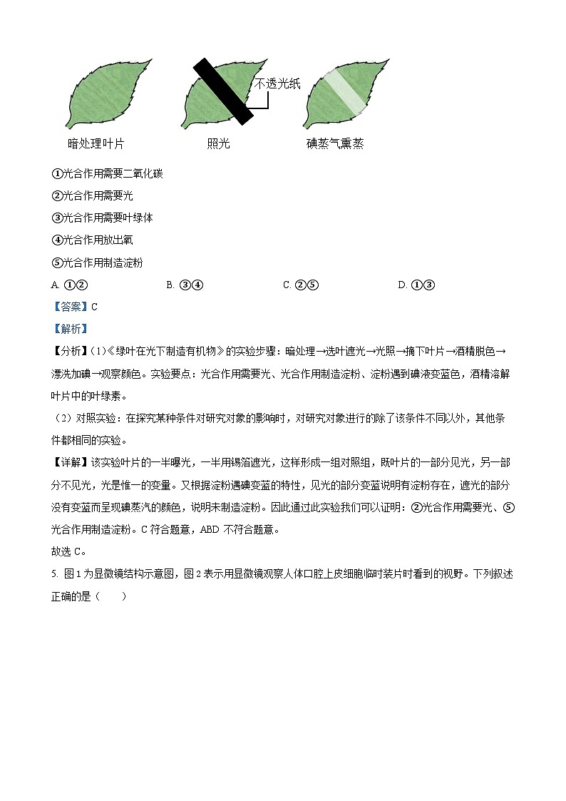 精品解析：山东省东营市文华学校2023-2024学年八年级下学期开学考试生物试题（解析版）第3页