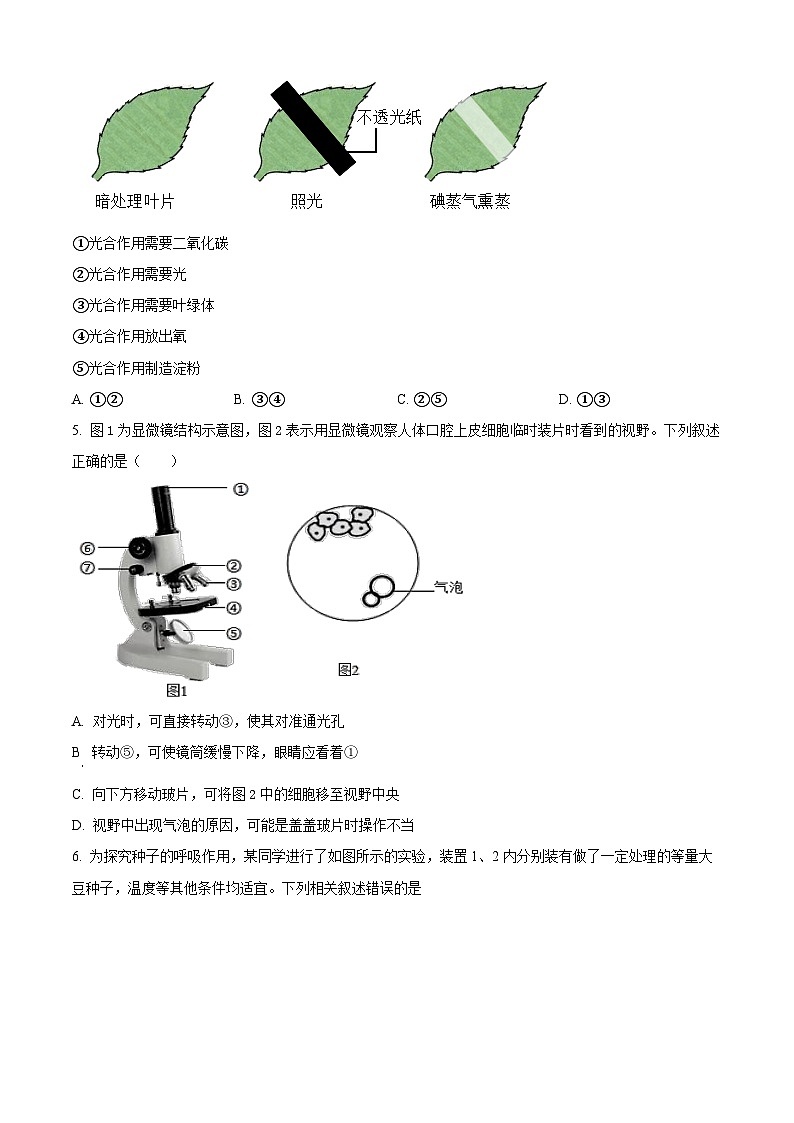 精品解析：山东省东营市文华学校2023-2024学年八年级下学期开学考试生物试题（原卷版）第2页