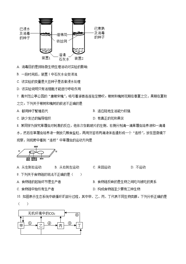 精品解析：山东省东营市文华学校2023-2024学年八年级下学期开学考试生物试题（原卷版）第3页