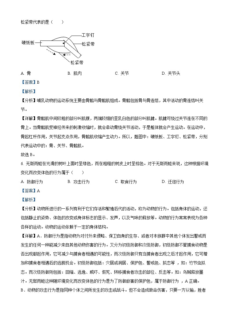 33，广东省惠州市江南学校2023-2024学年八年级上学期期末生物试题第3页