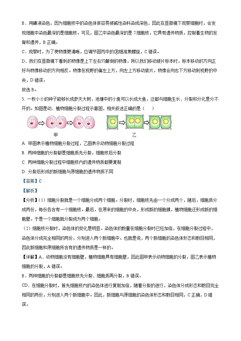 53，湖北省孝感市应城市2023-2024学年七年级上学期期末生物试题第3页