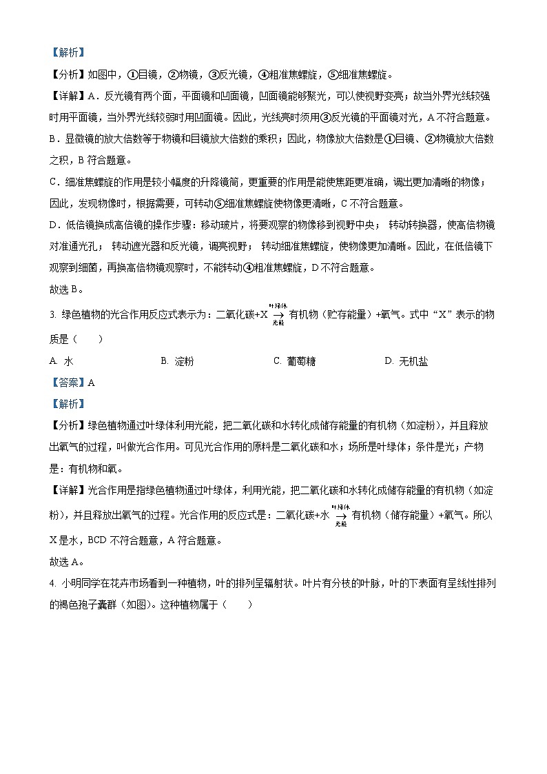 57，山东省济宁市邹城市2023-2024学年七年级上学期期末生物试题02