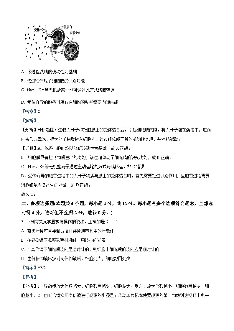 59，江西省宜春市丰城市第九中学2023-2024学年九年级上学期期末生物试题02