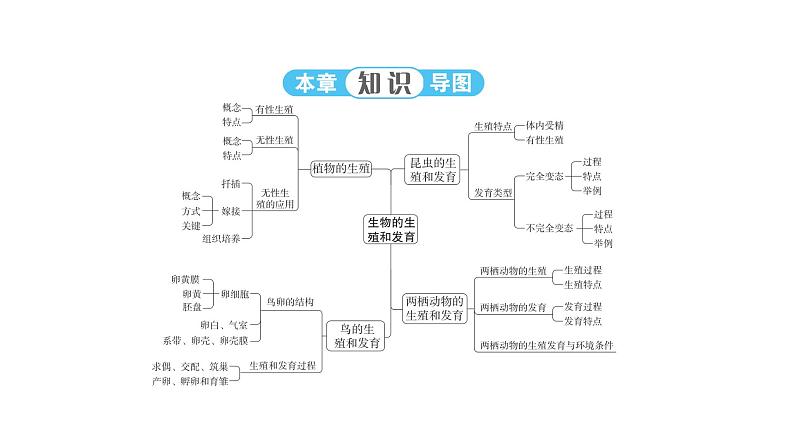 人教版生物八年级下册 第七单元第一章本章强化提升课件03