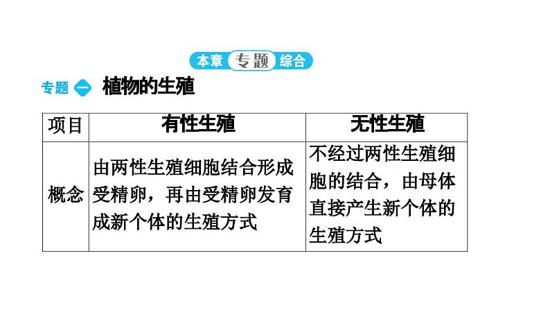 人教版生物八年级下册 第七单元第一章本章强化提升课件04