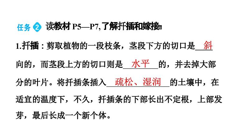 人教版生物八年级下册 第七单元第一章第一节植物的生殖课件第6页