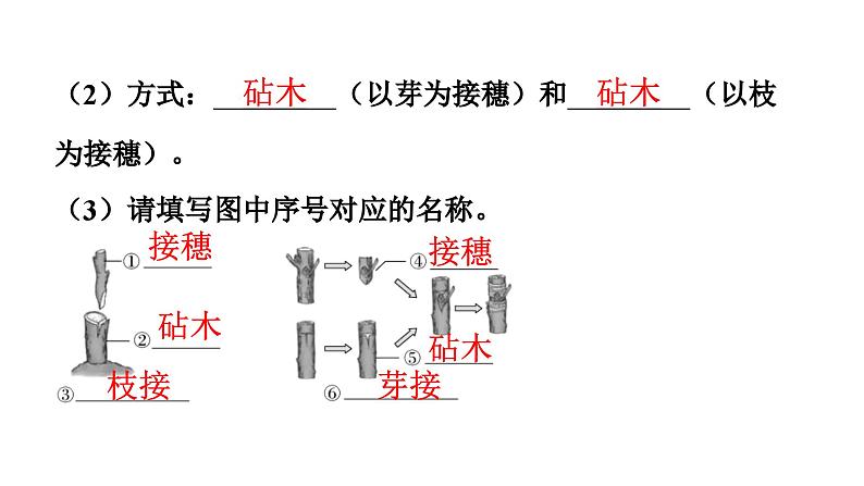 人教版生物八年级下册 第七单元第一章第一节植物的生殖课件第8页