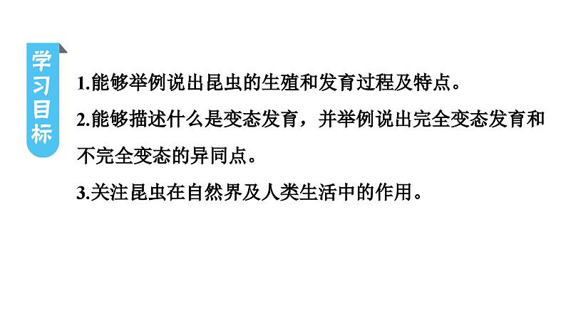 人教版生物八年级下册 第七单元第一章第二节昆虫的生殖和发育课件03