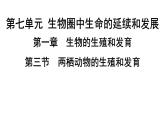 人教版生物八年级下册 第七单元第一章第三节两栖动物的生殖和发育课件