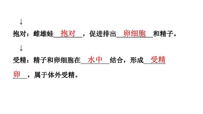 人教版生物八年级下册 第七单元第一章第三节两栖动物的生殖和发育课件第5页