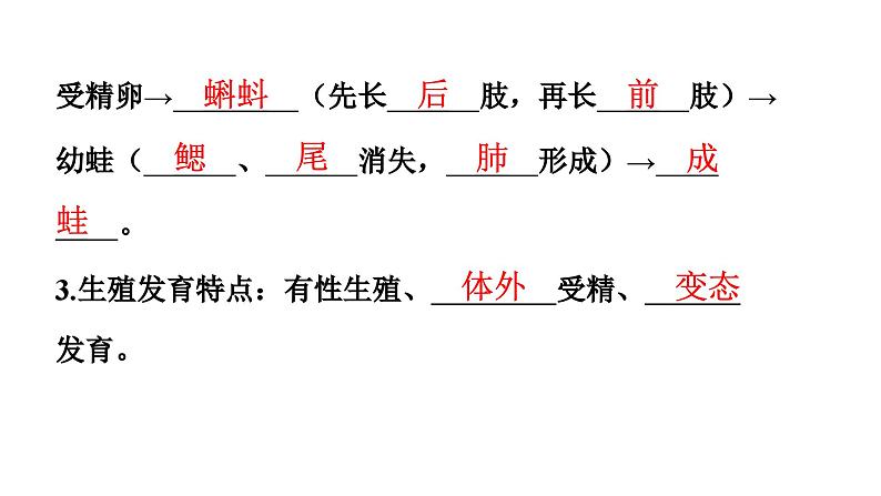 人教版生物八年级下册 第七单元第一章第三节两栖动物的生殖和发育课件第7页