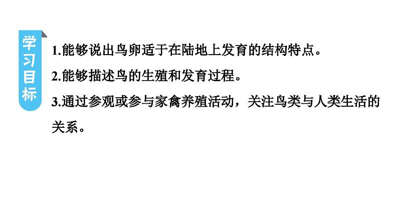 人教版生物八年级下册 第七单元第一章第四节鸟的生殖和发育课件第3页