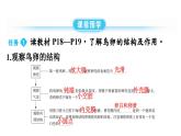 人教版生物八年级下册 第七单元第一章第四节鸟的生殖和发育课件