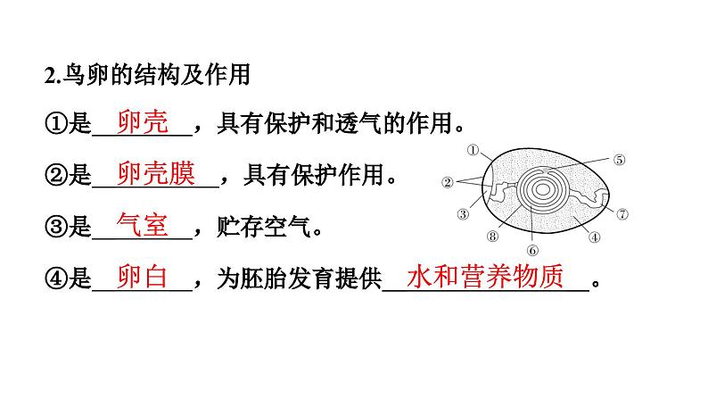 人教版生物八年级下册 第七单元第一章第四节鸟的生殖和发育课件第5页