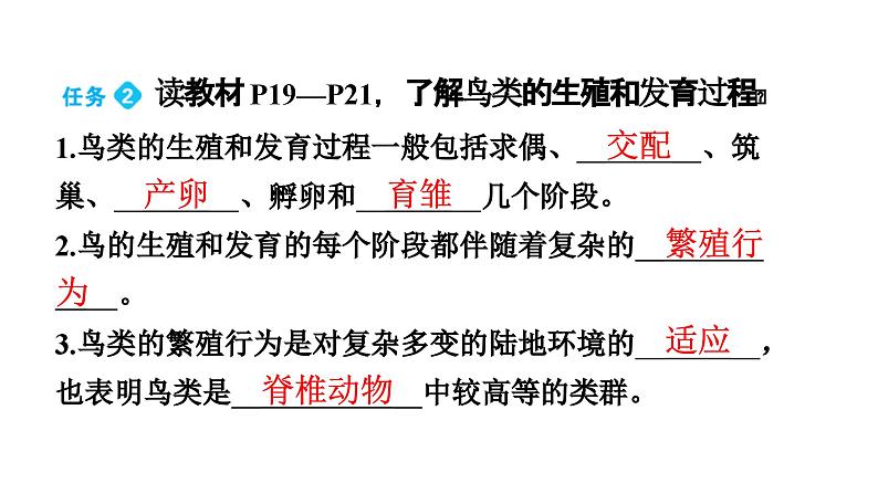 人教版生物八年级下册 第七单元第一章第四节鸟的生殖和发育课件第8页