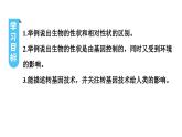 人教版生物八年级下册 第七单元第二章第一节基因控制生物的性状课件