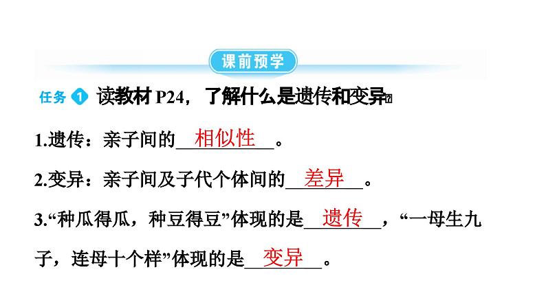 人教版生物八年级下册 第七单元第二章第一节基因控制生物的性状课件04