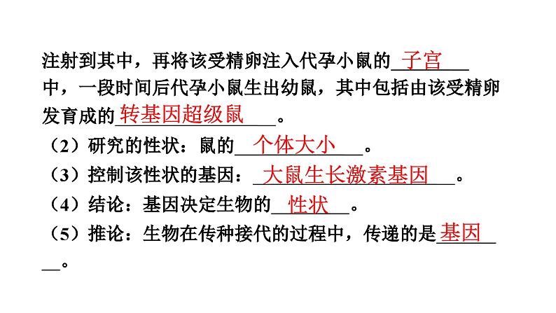 人教版生物八年级下册 第七单元第二章第一节基因控制生物的性状课件08