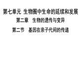 人教版生物八年级下册 第七单元第二章第二节基因在亲子代间的传递课件