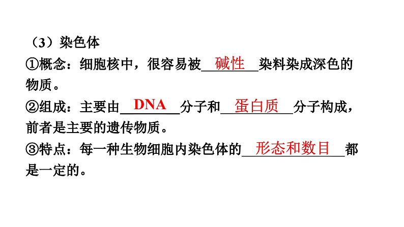 人教版生物八年级下册 第七单元第二章第二节基因在亲子代间的传递课件06