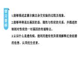 人教版生物八年级下册 第七单元第二章第三节基因的显性和隐性课件